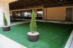 synlawn outdoor1