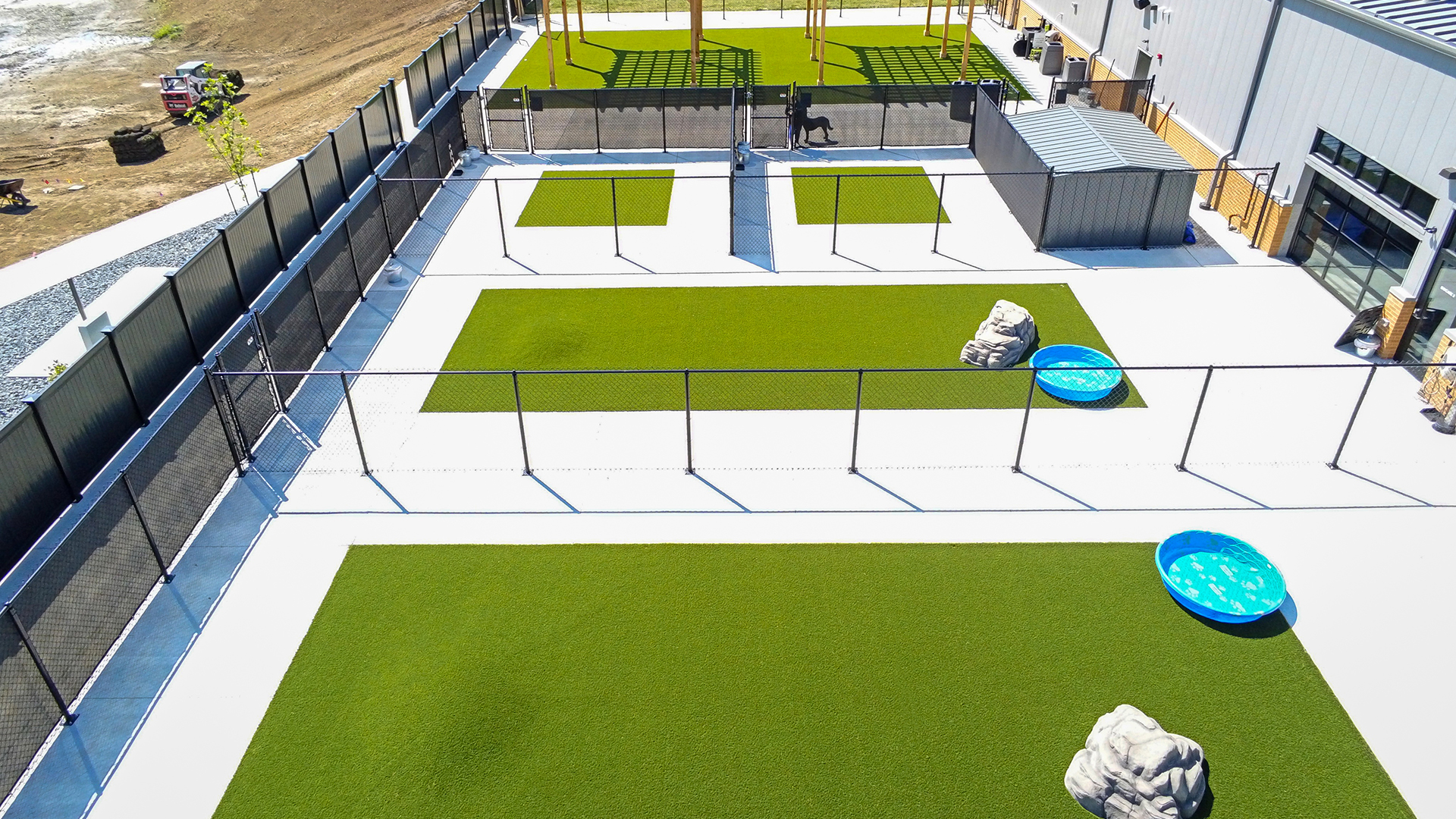 Anafi 1.8.2 Commercial Pet Turf at Doggie Day Care
